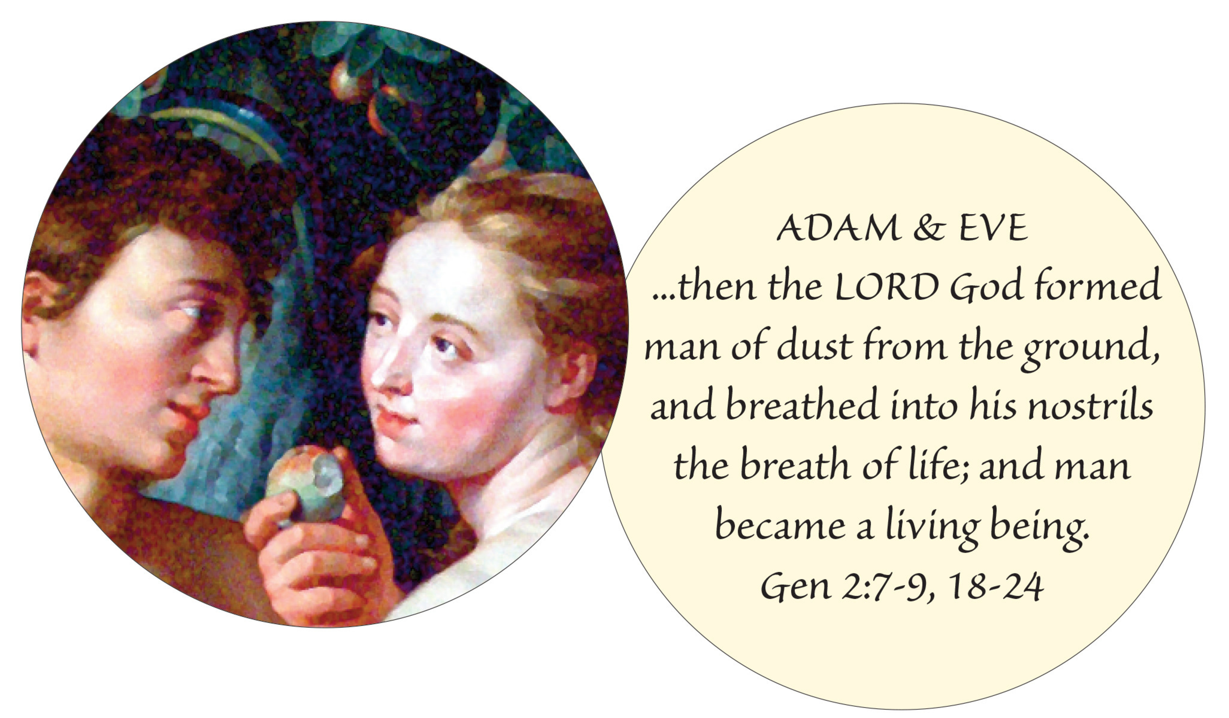 Adam Eve Sample