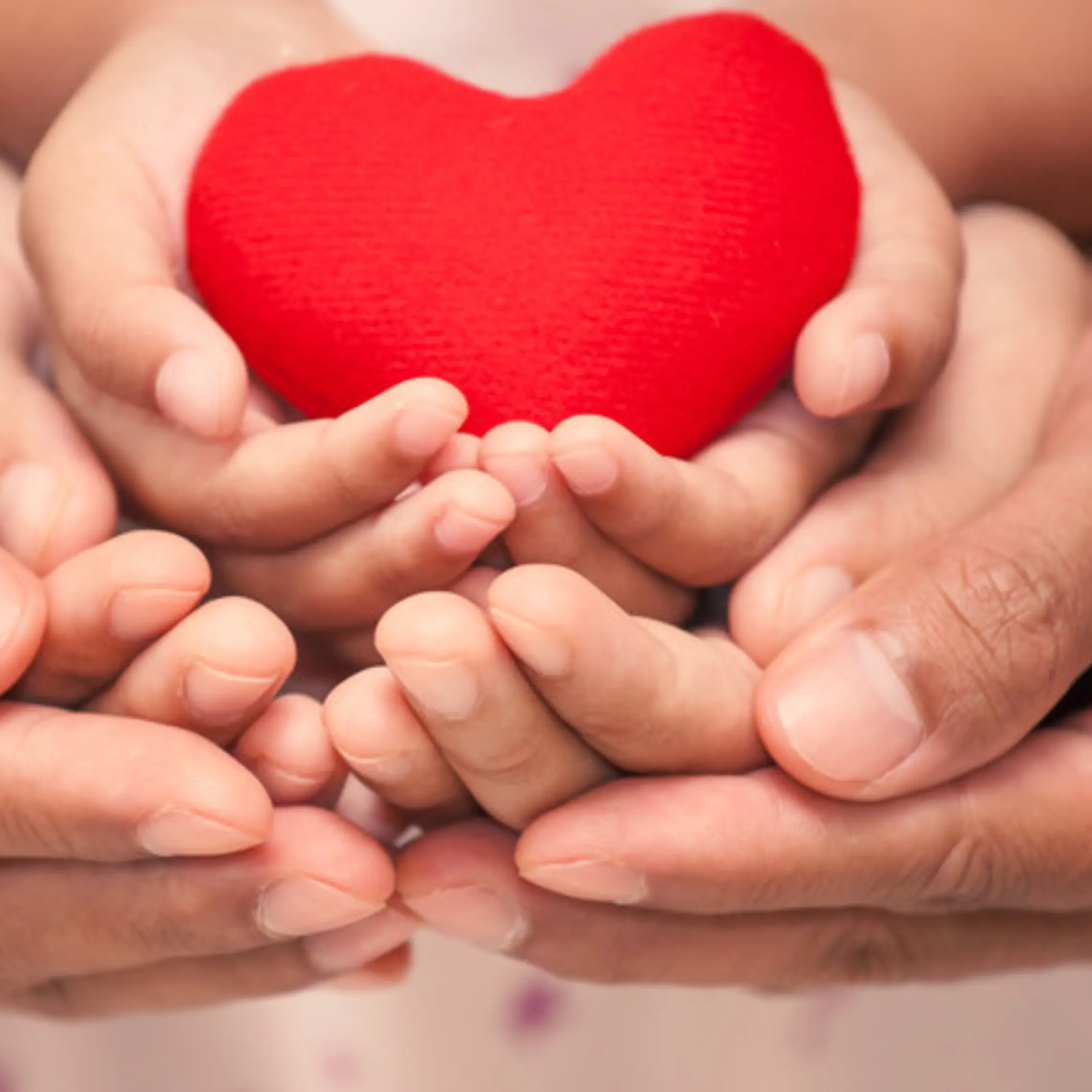 Donate image