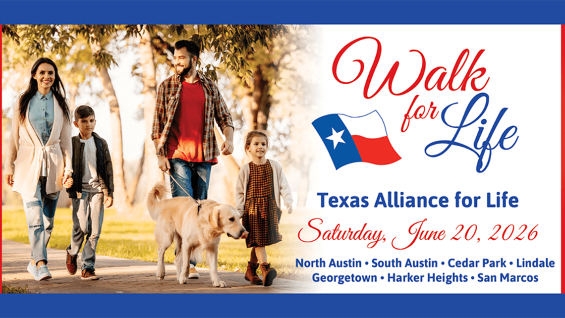 78754 26 Fundeasy2 1